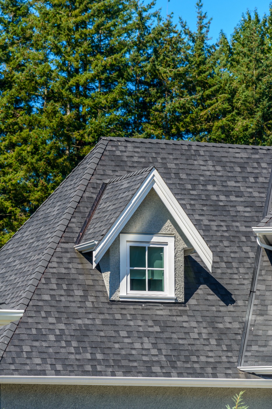 Roofing project